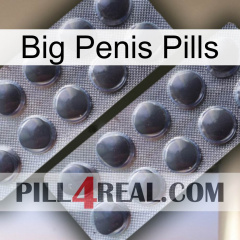 Big Penis Pills 31